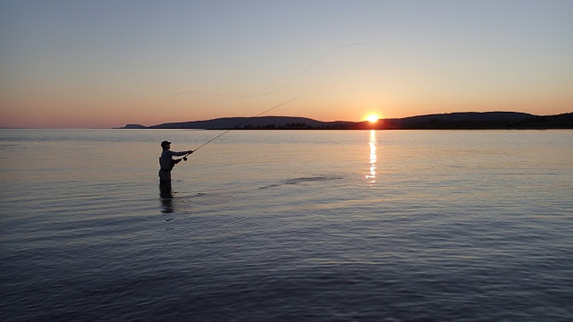 Striped bass arrived in Nova Scotia. Mostly small but I have a blast. :  r/flyfishing